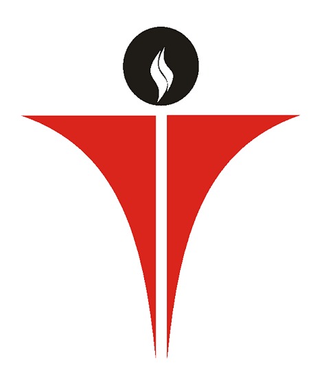 SOPANAM IT SOLUTIONS CHERUPUZHA